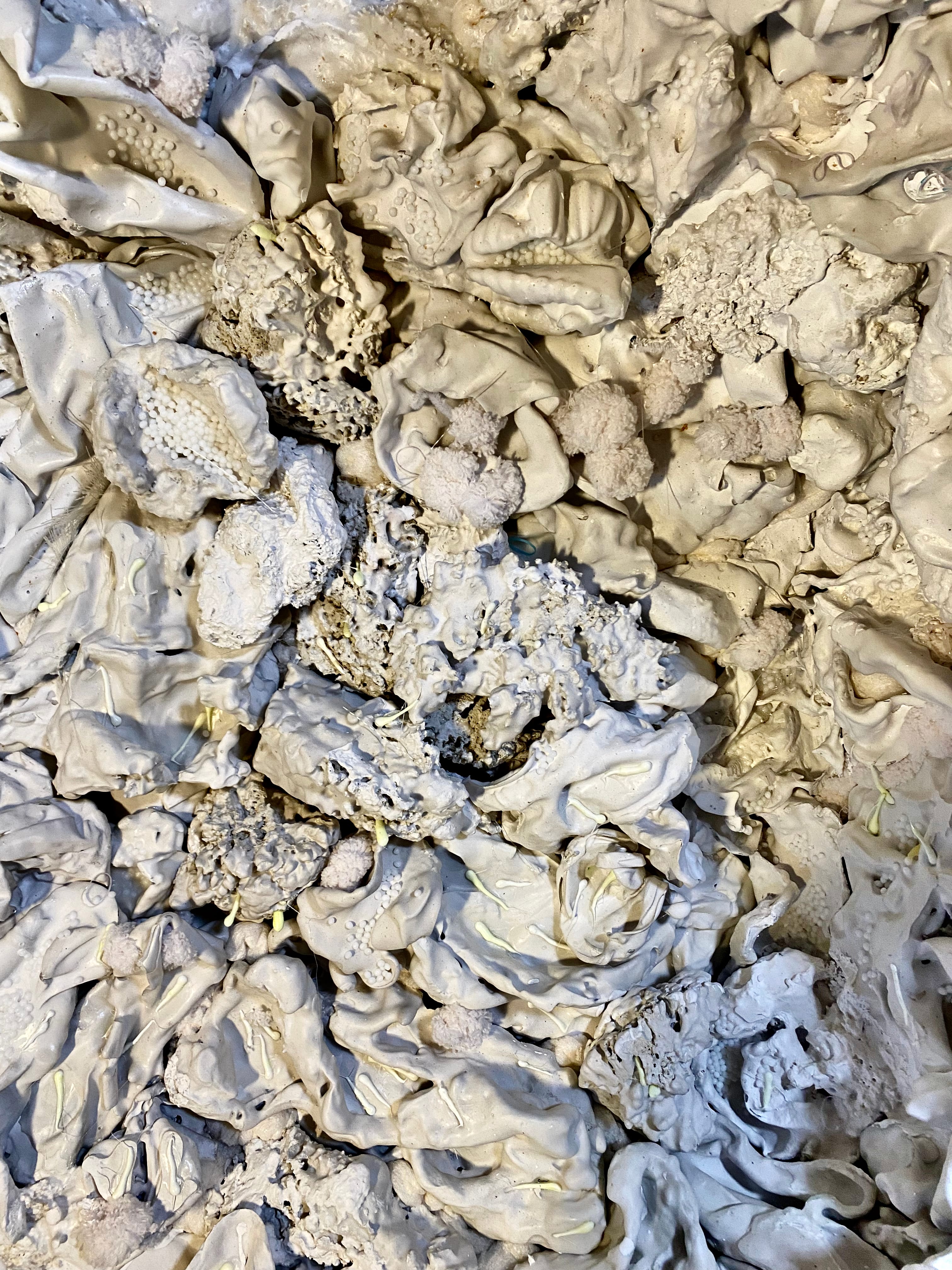 Detail of Coral Bleach